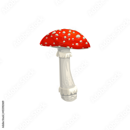 Amanita mushroom, autumn muscaria fly agaric icon, vector isolated. Amanita mushroom with red cap, Thanksgiving holiday and forest fall autumn harvest symbol