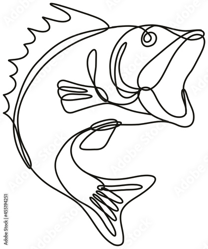 Continuous line drawing illustration of a largemouth bass jumping up done in mono line or doodle style in black and white on isolated background.  photo