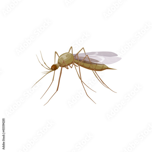 Mosquito icon or insect parasite, pest control and health disinsection symbol, vector isolated. Mosquito insect parasite, malaria and dengue fever disease sanitary disinfection and extermination
