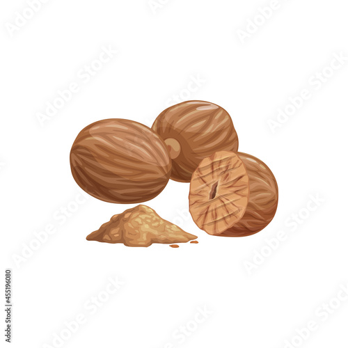 Fragrant or true nutmeg whole and powdered cartoon isolated icon. Vector pala edible seed, culinary spice, whole and grounded. Seed or ground spice of mace, seasoning or organic food ingredient