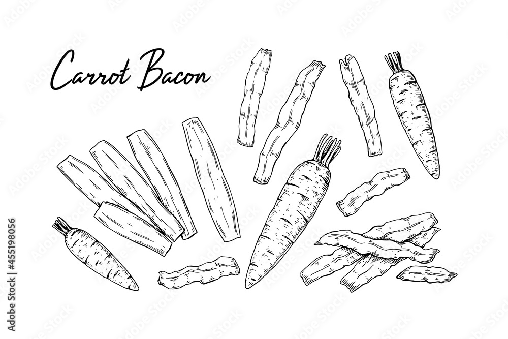 Hand drawn carrot bacon set. Vector illustration in sketch style Hand drawn carrot bacon set. Vector illustration in sketch style