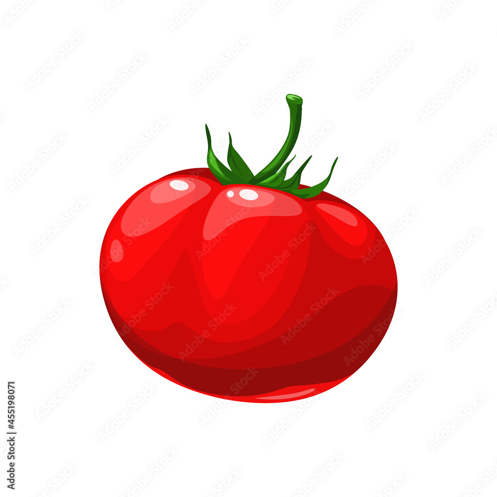 Ripe tomato natural vegetable, vector fresh plant or healthy salad food isolated on white background. Cartoon element for design, organic veggies, farm product Ripe tomato natural vegetable, vector fresh plant or healthy salad food isolated on white background. Cartoon element for design, organic veggies, farm product