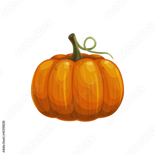 Pumpkin with stem isolated raw gourd squash realistic icon. Vector Halloween symbol, fresh veggies 3D pumpkin squash gourd. Ripe autumn harvest vegetable, vegetarian food, orange pumpkin