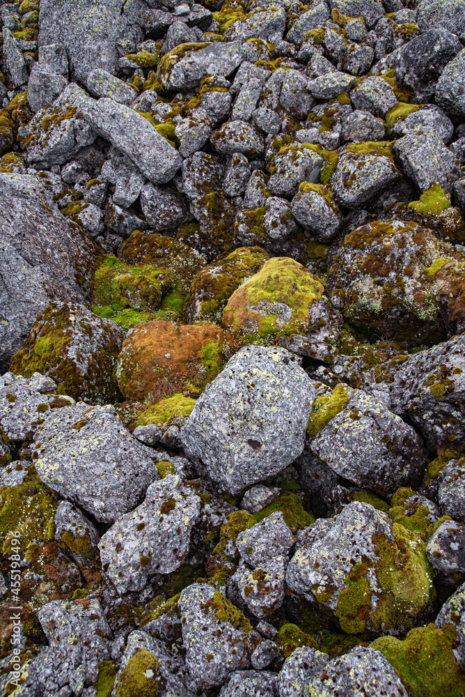 Stone nature background. Stones, boulders covered with moss and fungus in the mountains of Khibiny. Top view