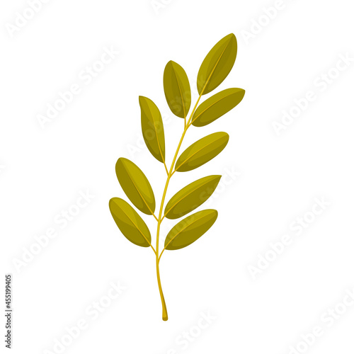 Rowan leaf vector icon, cartoon foliage, fallen tree leaf of green color, rowanberry plant leaf natural design element isolated on white background, sign