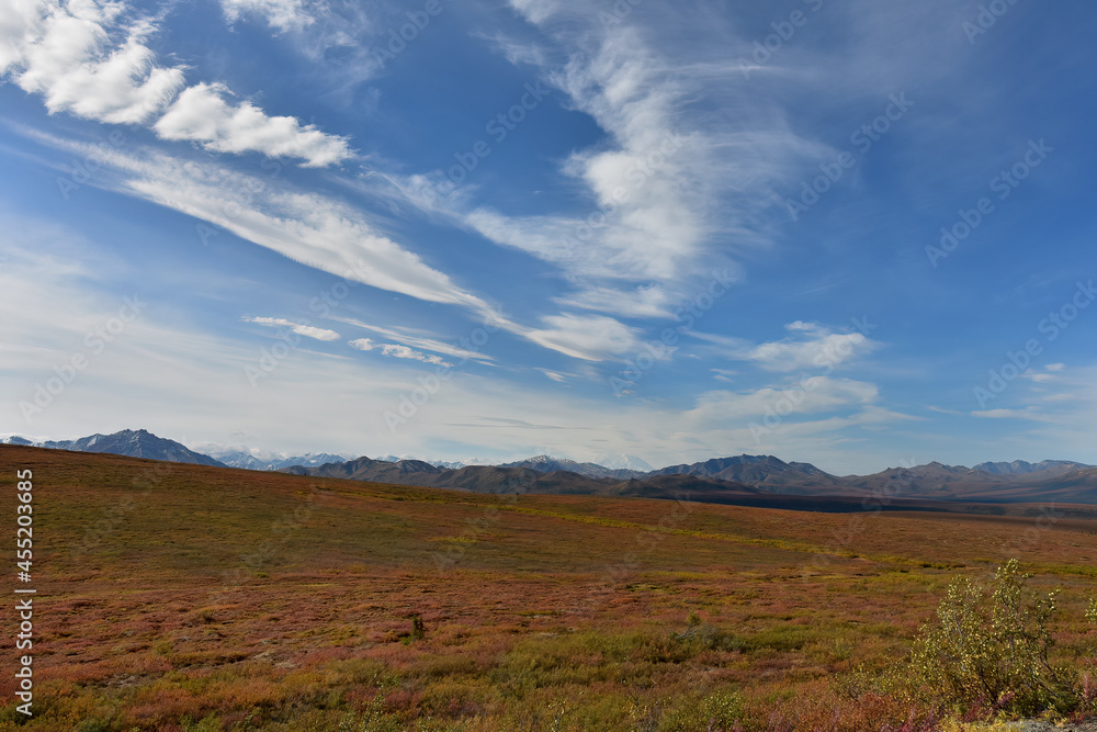 Alaska Range mountains rise above the tundra in Denali National Park and Preserve.