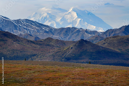 Denali is the tallest mountain peak in North America, with a summit elevation of 20,310 feet above sea level.