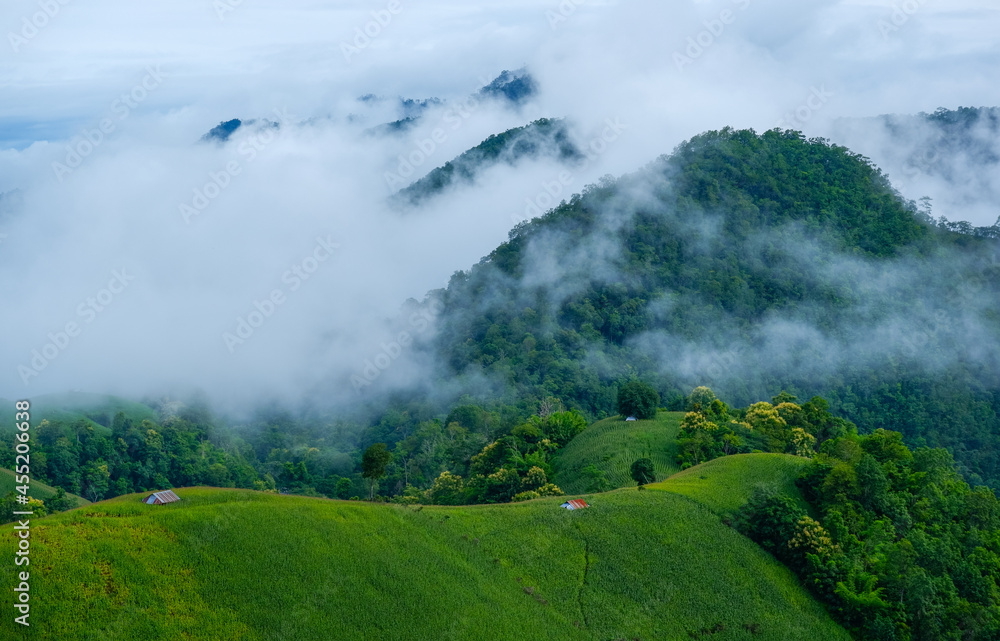 Scenic landscape of white mysterious smoky clouds or fog rolling over the ridge of mountains with farmland on the hills in green season of Northern Thailand. Scenic landscape of white mysterious smoky clouds or fog rolling over the ridge of mountains with farmland on the hills in green season of Northern Thailand.