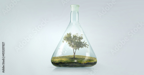 Tree growing inside clear glass bottle