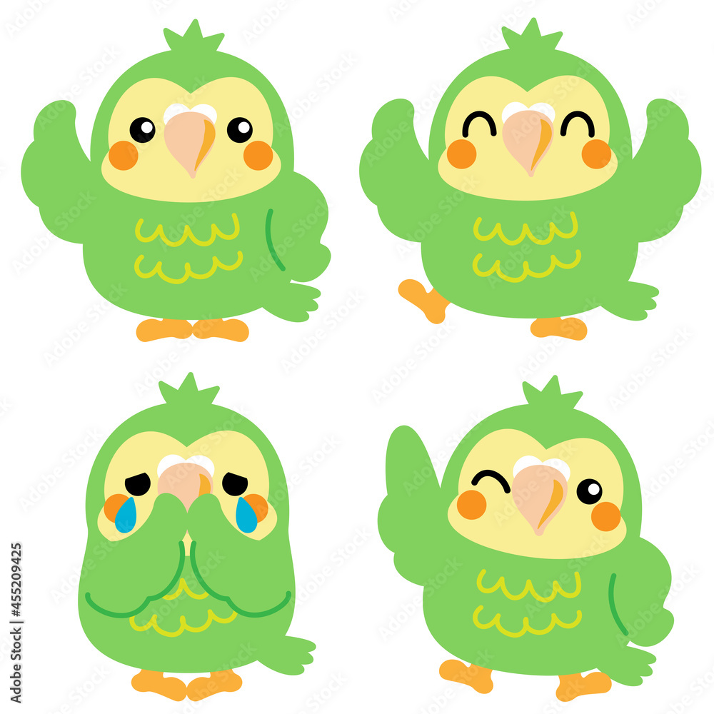 Fototapeta premium フクロウオウム カカポ オウム 鳥 ニュージーランド イラスト素材