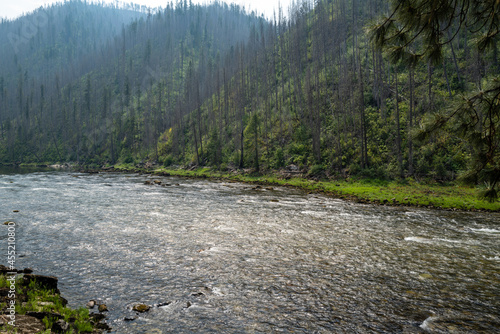 The Selway river east of Lowell, Idaho, USA photo