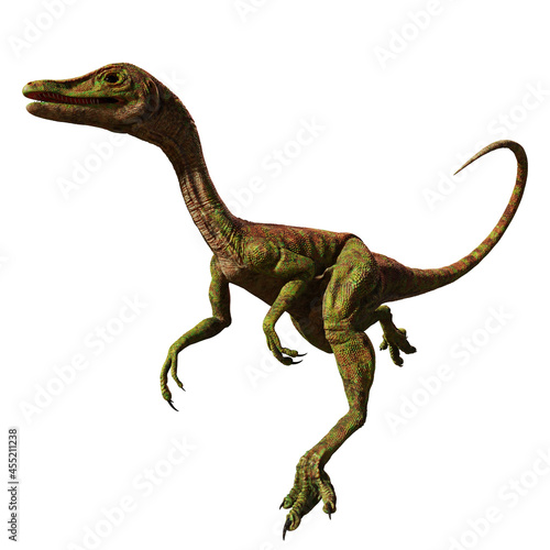 Compsognathus longipes  small dinosaur from the Late Jurassic period  isolated on white background