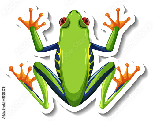 A sticker template with top view of green frog isolated