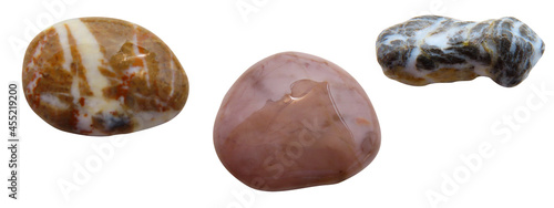 Set of different wet sea st...