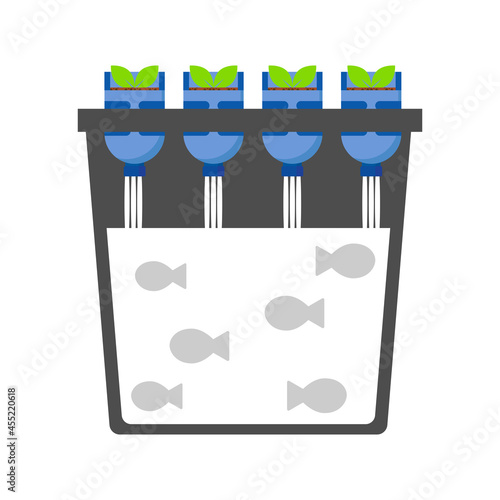 aquaponic and fish farming on the water bucket