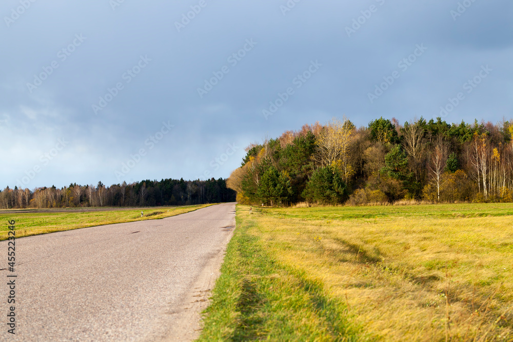 a quiet road in the autumn season