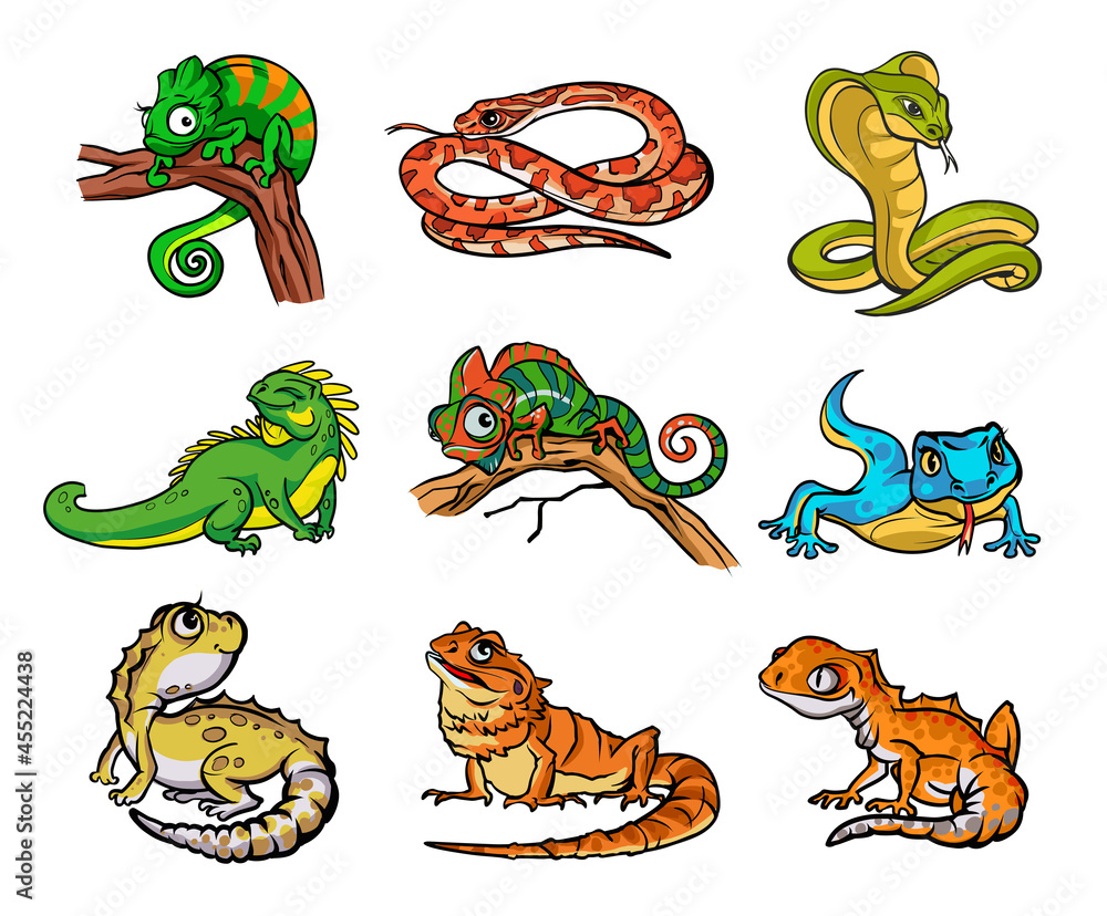 Obraz premium Set with beautiful different cartoon reptiles,snakesand lizards. Collection with reptiles,snakes hand drawn illustration. Design for wallpapers, packaging, postcards and posters. Wild nature.Isolated