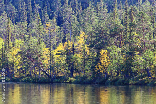 autumn forest landscape, abstract background October view in yellow trees, fall nature