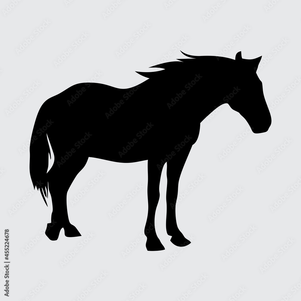 Horse Silhouette, Horse Isolated On White Background Horse Silhouette, Horse Isolated On White Background