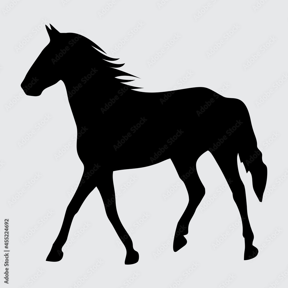 Horse Silhouette, Horse Isolated On White Background