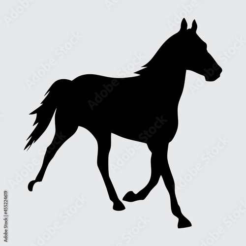 Horse Silhouette  Horse Isolated On White Background