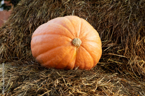 A large orange pumpkin on dry hay.
