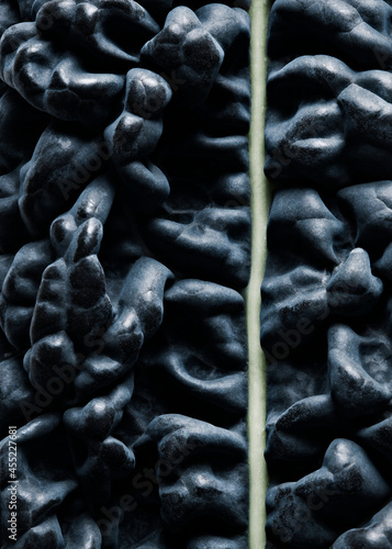 close up macro of black cabbage cavalo Nero photo