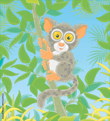 Funny small Philippine tarsier, tree-dwelling exotic primate with very large eyes and a long tufted tail, sitting on a green tree branch in a tropical jungle, vector cartoon illustration
