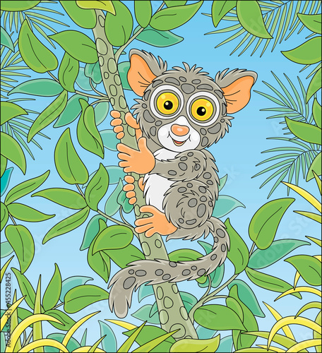 Funny small Philippine tarsier, tree-dwelling exotic primate with very large eyes and a long tufted tail, sitting on a green tree branch in a tropical jungle, vector cartoon illustration photo