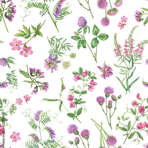 Seamless floral pattern with clover, geranium, mouse pea, comfrey, vetch, thistle, scabiosa flowers. Pink wildflower wallpaper. Botanical meadow summer watercolor illustration isolated on white