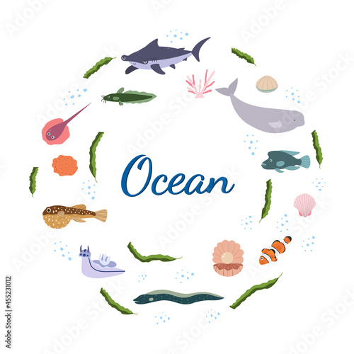 Design template with sea animal in circle for kid print. Round composition of marine animals, shark, beluga and seaweed. Vector set of underwater life in cartoon style.