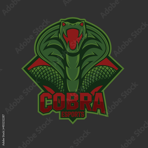 esport logo with a modern cobra mascot, this logo is suitable for use as an esport logo, gaming, steamer or community activities in the wild and adventure