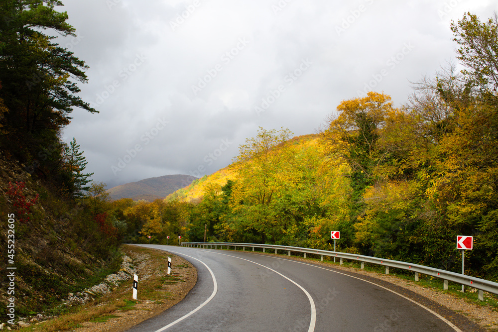 The turn of the paved road among the autumn trees The turn of the paved road among the autumn trees