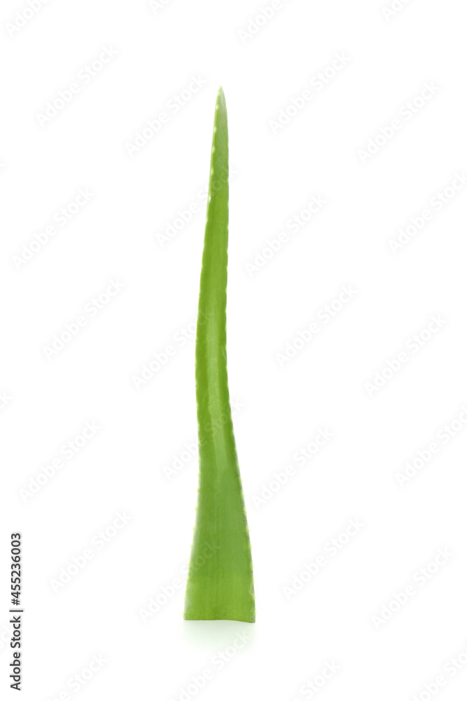 Aloe vera leaf isolated on white background Aloe vera leaf isolated on white background