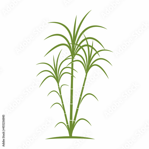 Sugar cane Logo Template vector symbol nature