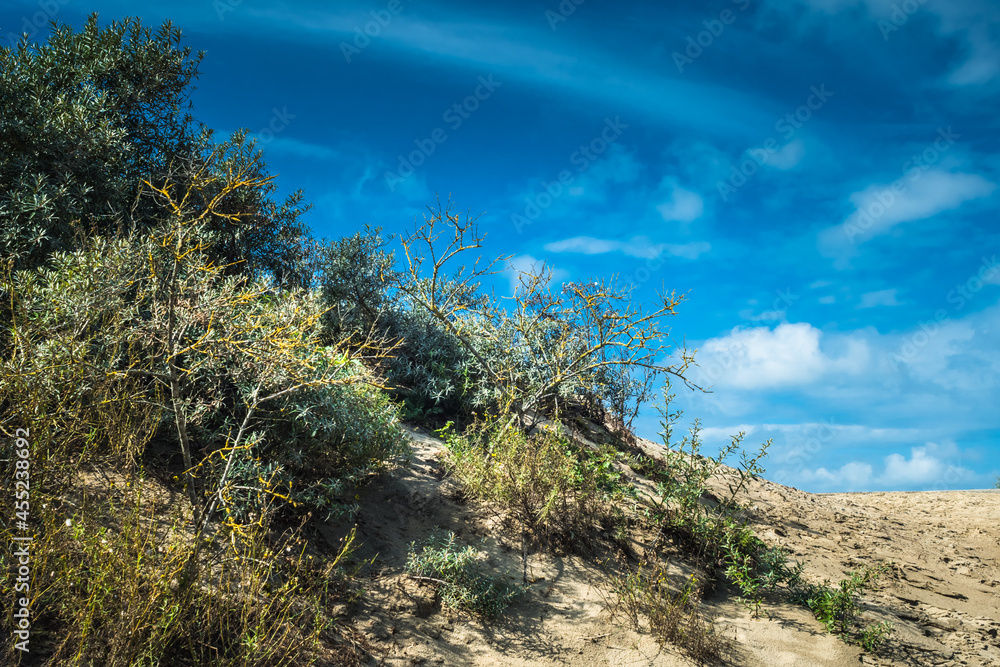 dunes and a cloudy sky