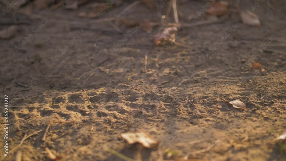 A bicycle wheel rides on a dusty track. Slowmotion video. A bicycle wheel rides on a dusty track. Slowmotion video.