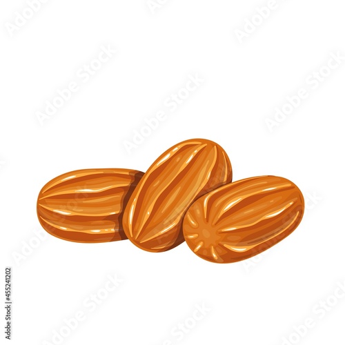 Traditional Turkish dessert tulumba, tulumba tatlisi vector illustration.