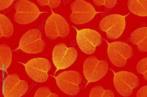 Yellow Bodhi vein leaf pattern on red background