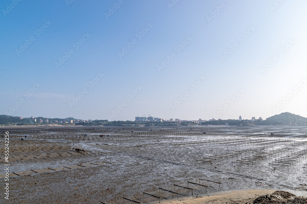 Under the blue sky, the lines and textures of bamboo rafts and ropes in the seaweed farm on the beach are very neat Under the blue sky, the lines and textures of bamboo rafts and ropes in the seaweed farm on the beach are very neat