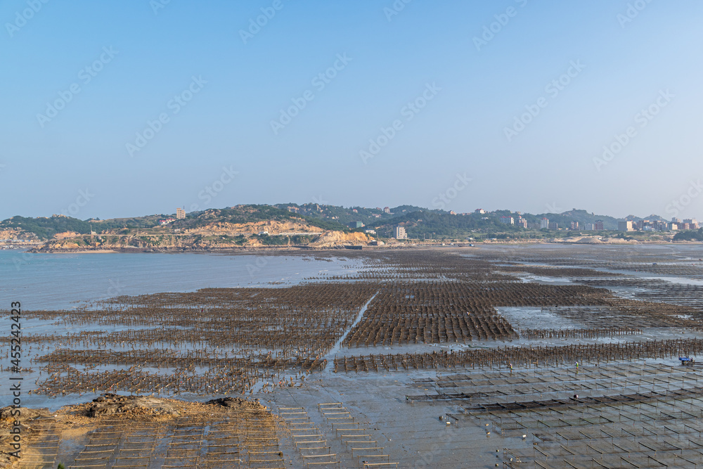 The beach under the blue sky, the laver and oyster farms are on the beach