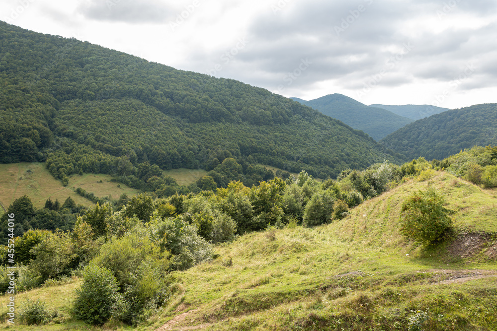 Beautiful natural landscape in the summer Carpathian mountains