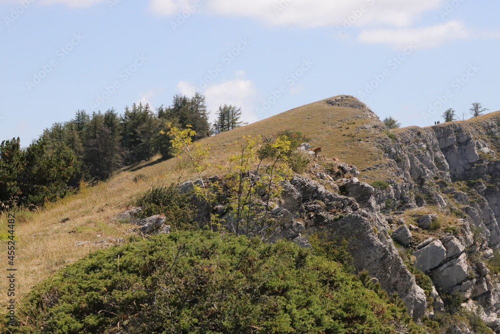 randonnée à la falaise de Géruen, 04