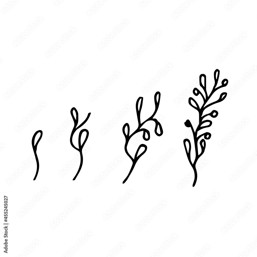 Vector set depicting the growth of a plant. Flower Collection on a white background isolated