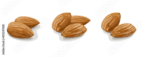Variants of almonds on white background. Vector Illustration.