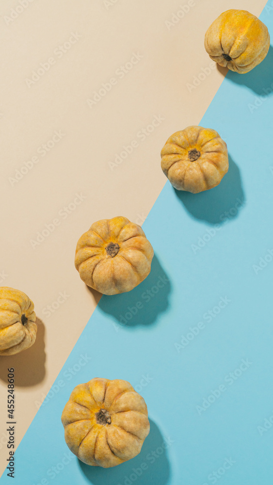 Creative vertical autumn wallpaper with real yellow halloween pumpkins on duo tone blue and powder background.