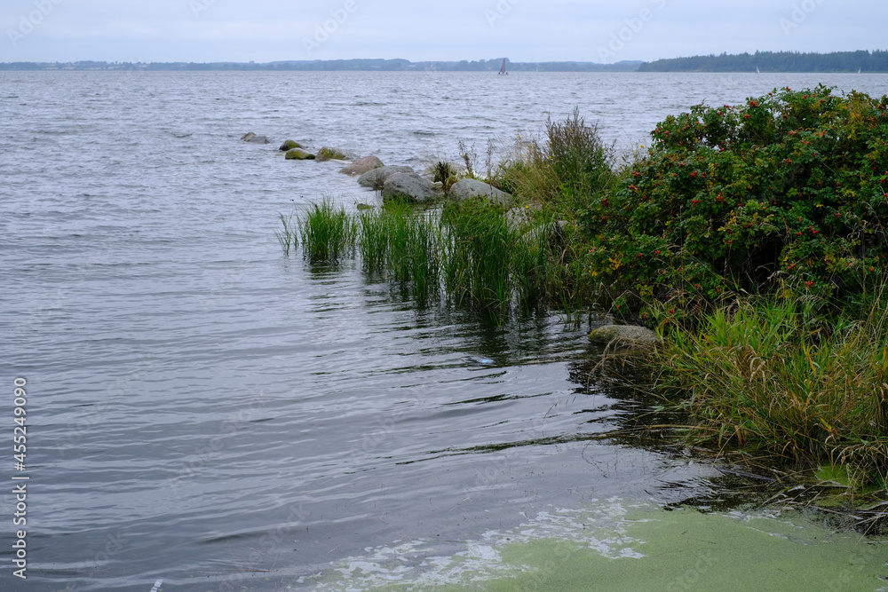 Steinmole führt ins Wasser