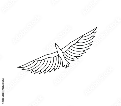 Vector isolated flying bird top view contour line drawing. Colorless black line icon logotype soaring bird top view