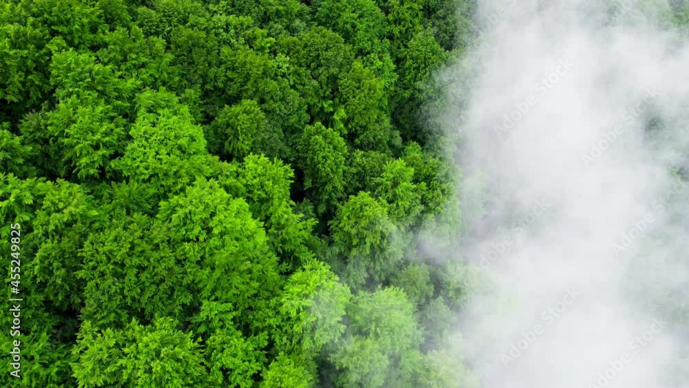 Clouds above mountain Forest, Flying through the Magical summer forest at Rainy weather, aerial view drone 4k Clouds above mountain Forest, Flying through the Magical summer forest at Rainy weather, aerial view drone 4k