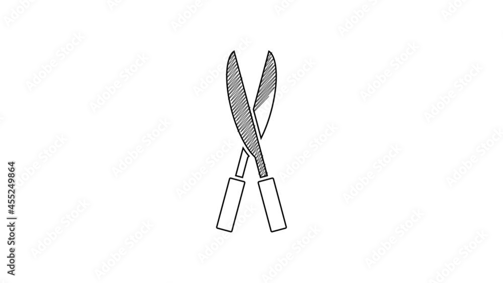 Black line Gardening handmade scissors for trimming icon isolated on white background. Pruning shears with wooden handles. 4K Video motion graphic animation Black line Gardening handmade scissors for trimming icon isolated on white background. Pruning shears with wooden handles. 4K Video motion graphic animation